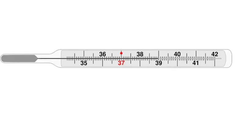 Thermomètre médical gradué de 35 à 42 °C