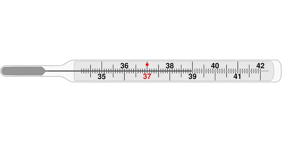 Thermomètre médical gradué de 35 à 42 °C
