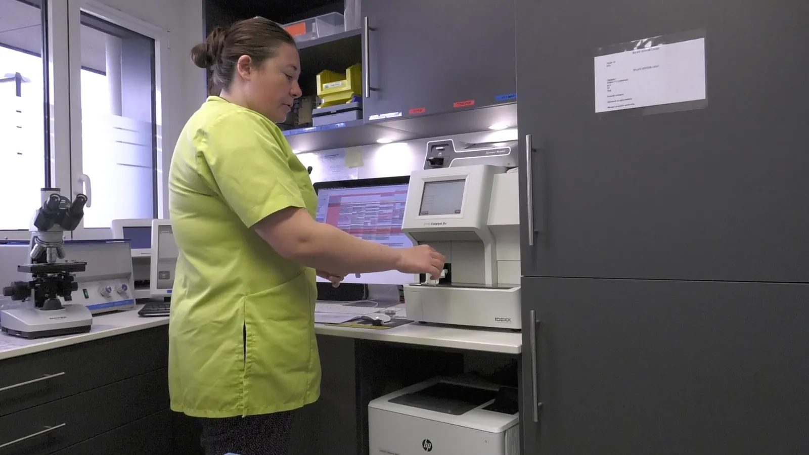 Assistante vétérinaire lançant une analyse sanguine au laboratoire
