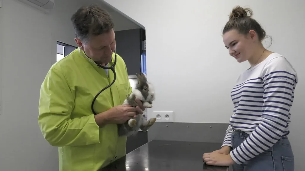 Consultation d'un lapin