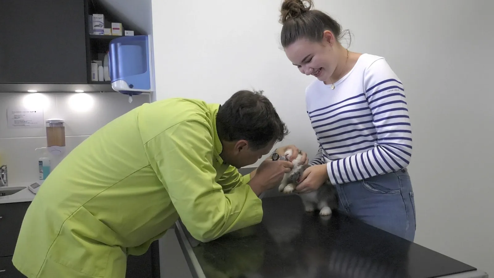 Consultation d'un lapin à la clinique