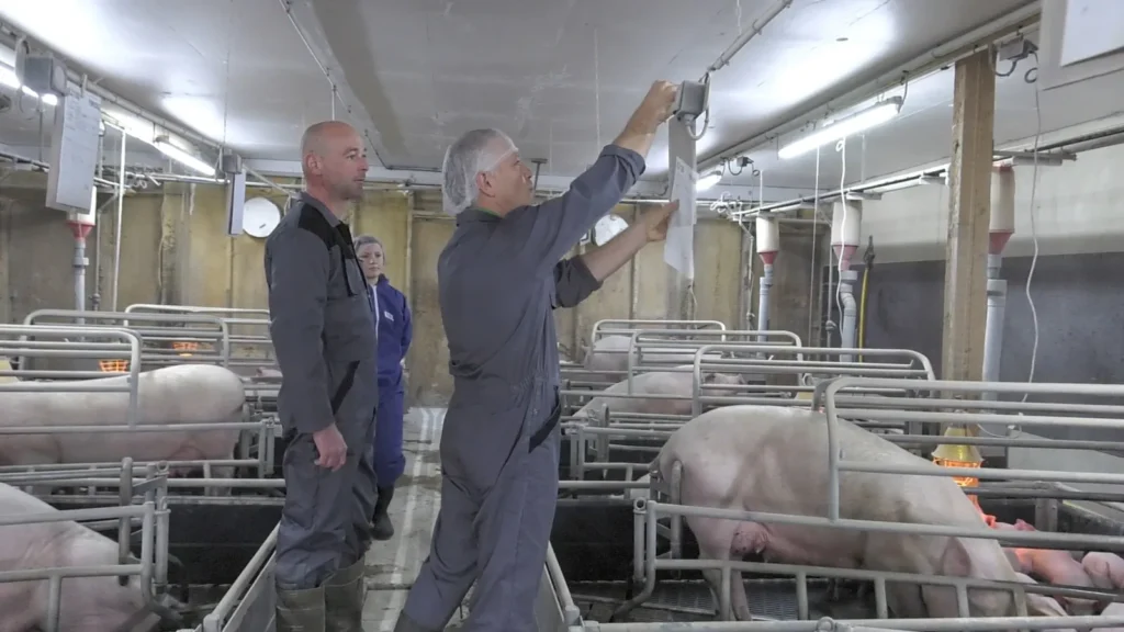 Vétérinaires de la clinique en visite dans un élevage porcin